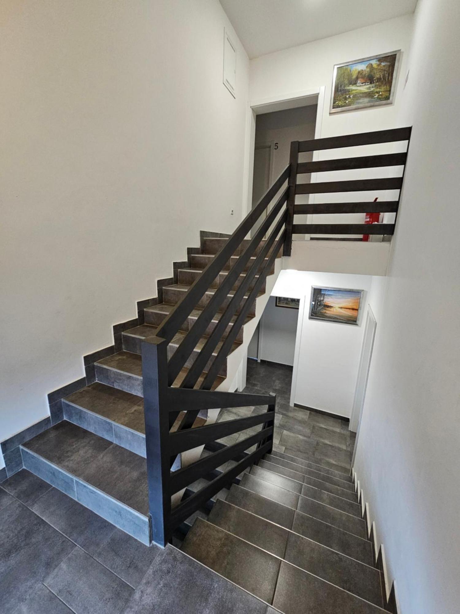 Filipovic Rent A Car & Apartments Selnica Scitarjevska Exterior photo
