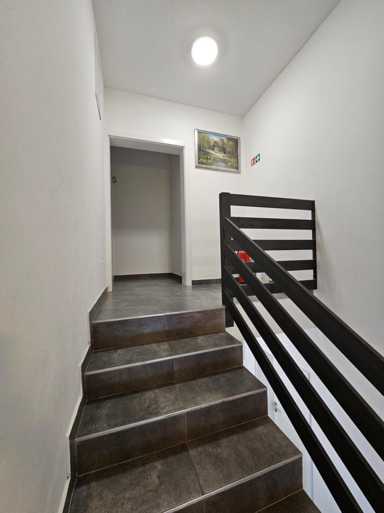 Filipovic Rent A Car & Apartments Selnica Scitarjevska Exterior photo