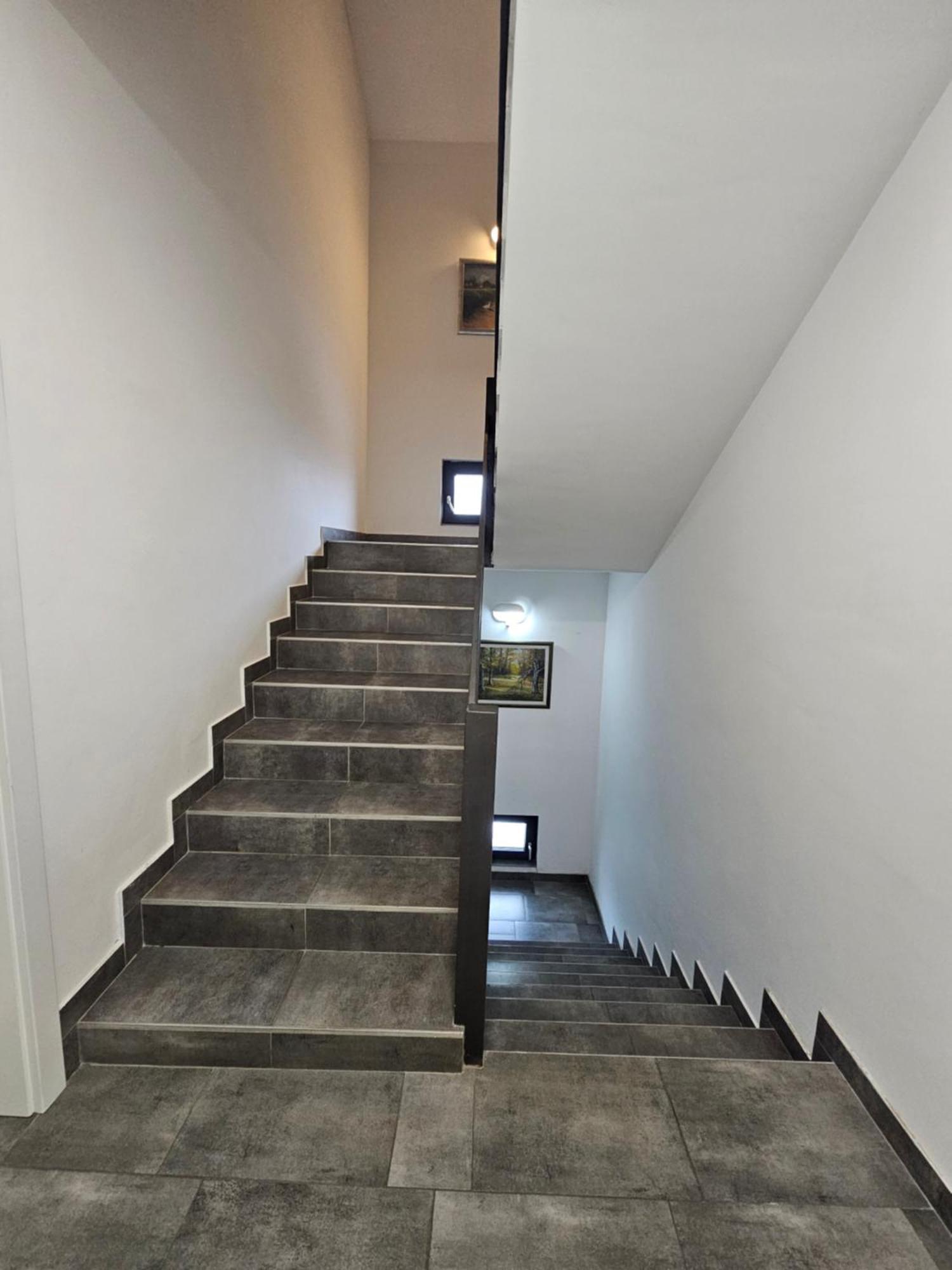 Filipovic Rent A Car & Apartments Selnica Scitarjevska Exterior photo